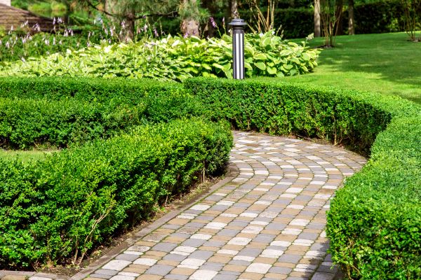 Cost of Paved Landscaping in Anaheim