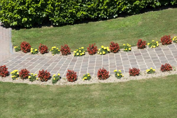 Cost of Garden Paving in Anaheim